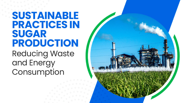 Sustainable Practices in Sugar Production